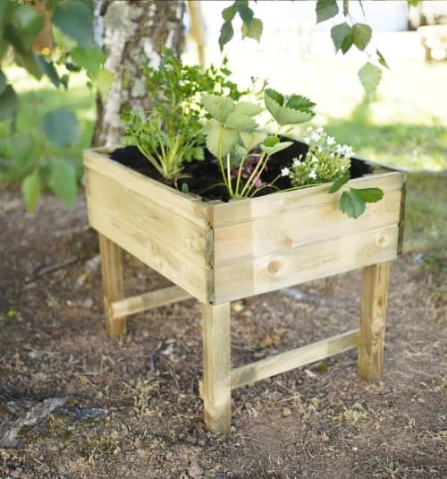 Carré Potager Enfants Sur Pieds En Pin – Image 2
