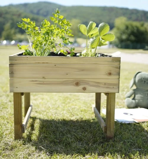 Carré Potager Enfants Sur Pieds En Pin – Image 3