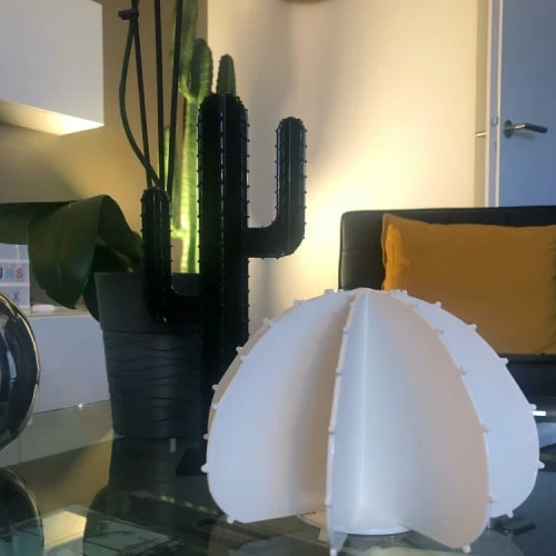 Mini Cactus De Jardin 2 Branches En Aluminium Noir H30cm – Image 4