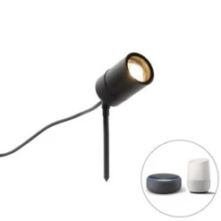 Spot Extérieur En Acier Inoxydable Noir